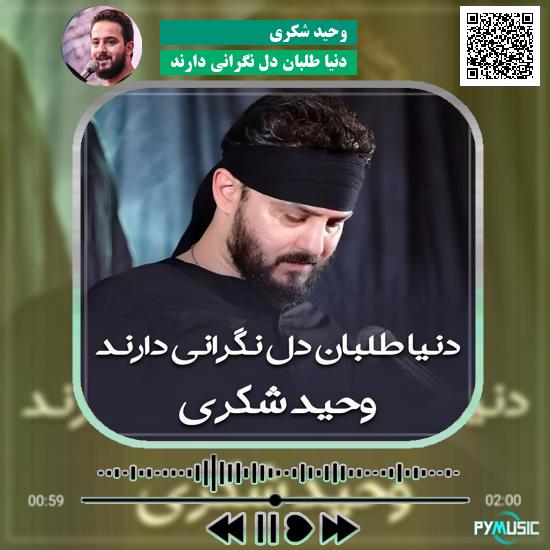 دانلود مداحی دنیا طلبان دل نگرانی دارند وحید شکری